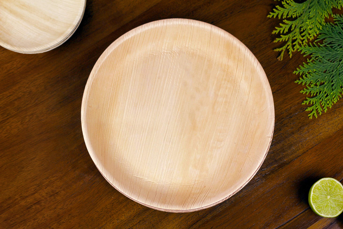 FOOGO Green 25 Disposable Palm Leaf Plates, 10"(25cm) Large Round, Eco Friendly Biodegradable Compostable Plates, Like Wooden Plates, Bamboo Plates, Paper Plates for Hot Food, Wedding Picnic Plates